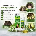 bhringraj benefits.webp