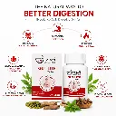 gut lite benefits.webp