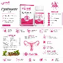 cysto details.webp